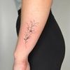tattoosbysteph